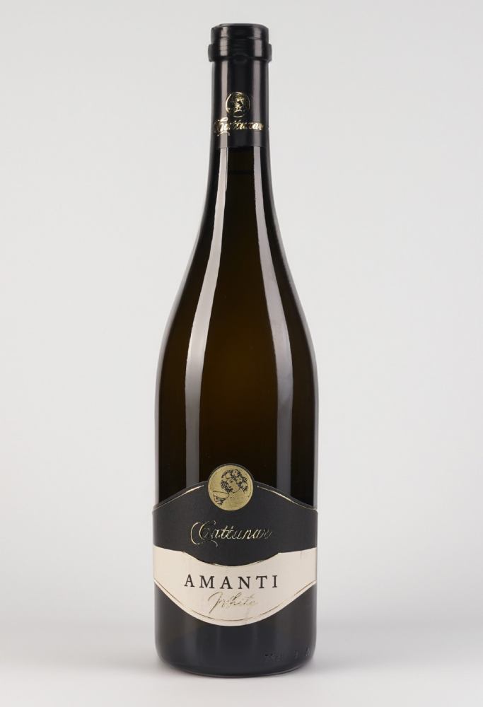 Amanti White Cuvee`